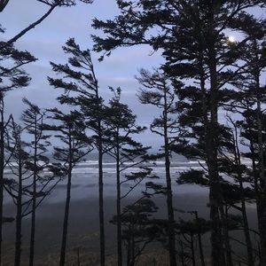 Meet your Posher, Mimi